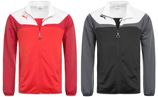 Puma Esito 3 Trainingsjacke Herren Sport