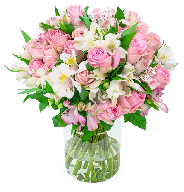 Rosen Lilien Deal Blume Ideal
